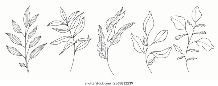 Leaf outline drawing clipart set. Leaves hand drawn flat pattern in black and white outline botanical graphic elements clip art collection. Vector illustration spring leaf drawing set. 
