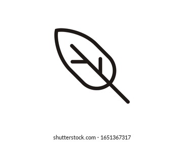 Leaf outline icon in black and white