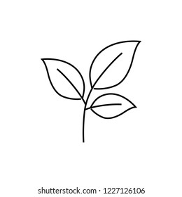 Leaf outline icon. linear style sign for mobile concept and web design. Eco simple line vector icon. Symbol, logo illustration.