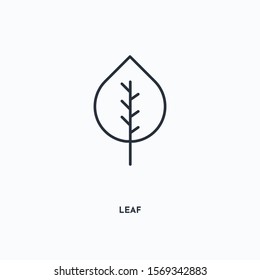 Leaf outline icon. Simple linear element illustration. Isolated line Leaf icon on white background. Thin stroke sign can be used for web, mobile and UI.