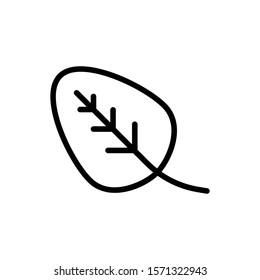 leaf outline icon. vector illustration. Isolated on white background.