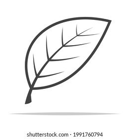vector de icono de contorno de hoja aislado