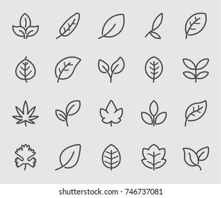 Leaf outline icons