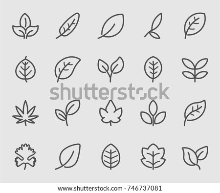 Leaf outline icons