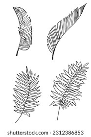 Leaf outline illustration image. 
Hand drawn image artwork of leaf. 
Simple cute original logo.
Hand drawn vector illustration for posters, cards, t-shirts.