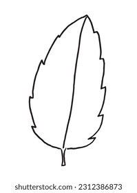 Imagen de la ilustración del contorno de hoja. 
Imagen dibujada a mano de la hoja. 
Simple y lindo logo original.
Ilustración vectorial dibujada a mano para afiches, tarjetas, camisetas.