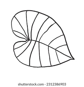 Imagen de la ilustración del contorno de hoja. 
Imagen dibujada a mano de la hoja. 
Simple y lindo logo original.
Ilustración vectorial dibujada a mano para afiches, tarjetas, camisetas.