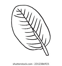 Leaf outline illustration image. 
Hand drawn image artwork of leaf. 
Simple cute original logo.
Hand drawn vector illustration for posters, cards, t-shirts.