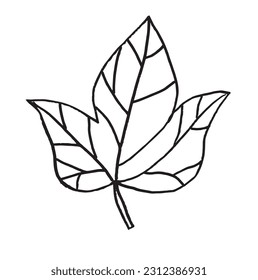 Leaf outline illustration image. 
Hand drawn image artwork of leaf. 
Simple cute original logo.
Hand drawn vector illustration for posters, cards, t-shirts.