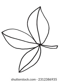 Leaf outline illustration image. 
Hand drawn image artwork of leaf. 
Simple cute original logo.
Hand drawn vector illustration for posters, cards, t-shirts.