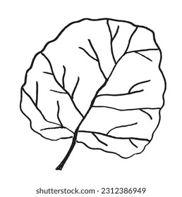 Leaf outline illustration image. 
Hand drawn image artwork of leaf. 
Simple cute original logo.
Hand drawn vector illustration for posters, cards, t-shirts.