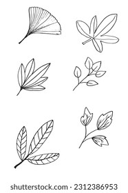 Imagen de la ilustración del contorno de hoja. 
Imagen dibujada a mano de la hoja. 
Simple y lindo logo original.
Ilustración vectorial dibujada a mano para afiches, tarjetas, camisetas.