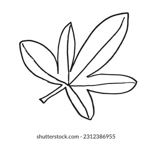 Imagen de la ilustración del contorno de hoja. 
Imagen dibujada a mano de la hoja. 
Simple y lindo logo original.
Ilustración vectorial dibujada a mano para afiches, tarjetas, camisetas.