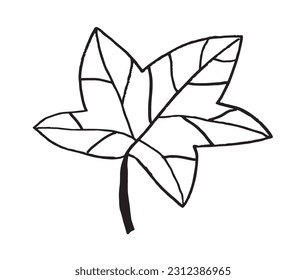 Leaf outline illustration image. 
Hand drawn image artwork of leaf. 
Simple cute original logo.
Hand drawn vector illustration for posters, cards, t-shirts.