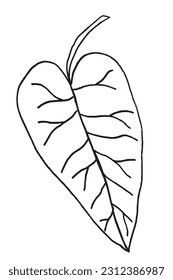 Leaf outline illustration image. 
Hand drawn image artwork of leaf. 
Simple cute original logo.
Hand drawn vector illustration for posters, cards, t-shirts.