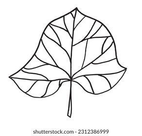 Leaf outline illustration image. 
Hand drawn image artwork of leaf. 
Simple cute original logo.
Hand drawn vector illustration for posters, cards, t-shirts.