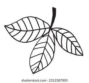 Leaf outline illustration image. 
Hand drawn image artwork of leaf. 
Simple cute original logo.
Hand drawn vector illustration for posters, cards, t-shirts.
