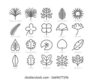 Leaf Outline line Icon Set Spring Concept Minimal Style Illustration Vector EPS 10.