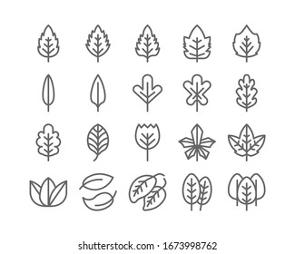 Leaf Outline Line Icon Set Autumn Fall And Spring Concept Minimal Style Illustration Vector EPS 10.