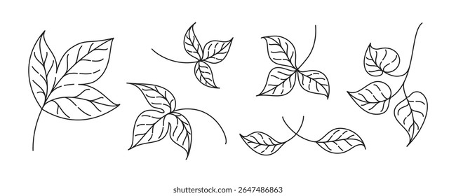Leaf outline set. Delicate natural vector drawings for fall themes botanical compositions and design.
