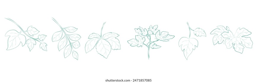 Leaf outline set vector that can be used in a variety of ways such as decorating cards, digital printing, fabric patterns, scrapbooking, paper patterns, sticker and more.