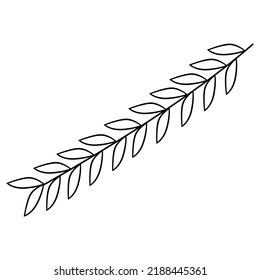leaf outline vector illustration,isolated on white background,top view