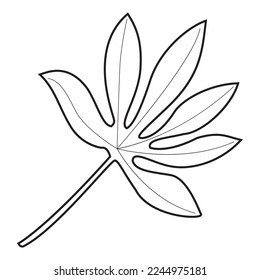 ilustración vectorial de contorno de hoja, aislado en fondo blanco, vista superior