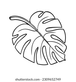 leaf outline vector illustration,isolated on white background,top view