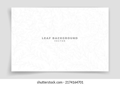 leaf outline vector on white background or wallpaper. Luxury and natural background.