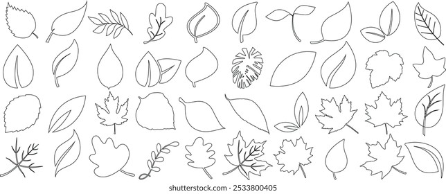 Leaf outlines, botanical line art, isolated leaf sketches, simple leaf shapes, vector foliage design elements for nature theme projects, autumn and spring designs, organic minimalistic nature symbols