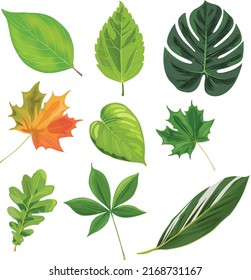 Leaf paintings vector are available in a variety of forms.