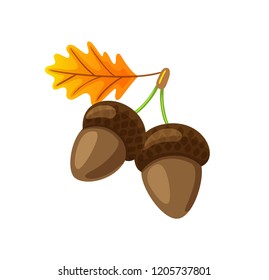 Leaf with pair of hanging acorns isolated icon vector. Autumn symbol of fallen dry tree foliage and defoliation. Seasonal frondage, natural organic