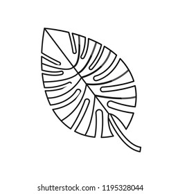 leaf palm foliage natural isolated design