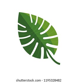 leaf palm foliage natural isolated design
