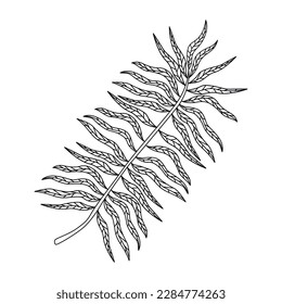 icono de la naturaleza de la hoja de palma