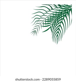 Vector de diseño verde de hoja de palma