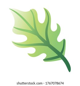 leaf palm hand draw style icon vector illustration design