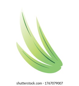 leaf palm hand draw style icon vector illustration design