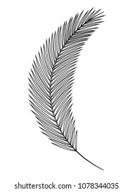 leaf palm isolated icon