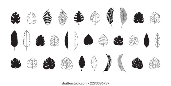Leaf palm, jungle tropic plant vector icon, black flat and line design. Summer set isolated on white background. Exotic simple illustration