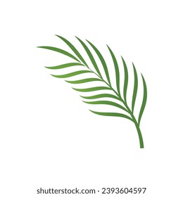 Leaf palm logo vector template symbol and design