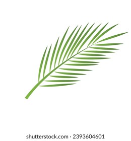 Símbolo de plantilla vectorial del logotipo de la palma de hoja y diseño