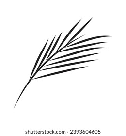 Leaf palm logo vector template symbol and design