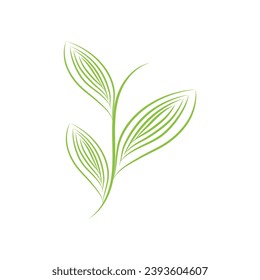 Leaf palm logo vector template symbol and design