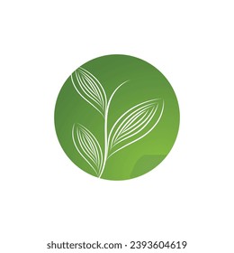 Leaf palm logo vector template symbol and design