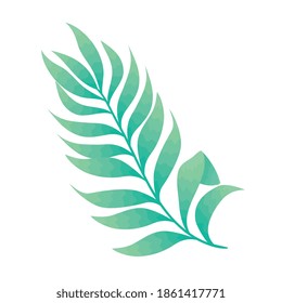 leaf palm nature isolated icon vector illustration design