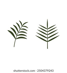 Leaf Palm oil illustration design template