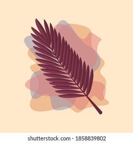 The leaf of the Palm plant from tropical forests are isolated against a fall background. Can be used for greeting cards, flyers, invitations, web design, and everything