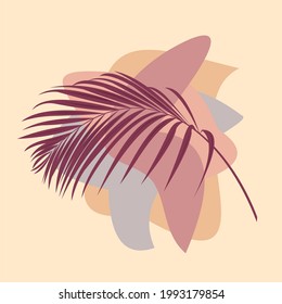 The leaf of the Palm plant from tropical forests are isolated against a fall background. Can be used for greeting cards, flyers, invitations, web design, and everything