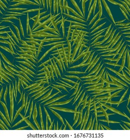 Leaf of a palm tree growing in a green tropical forest. Seamless background with pattern.